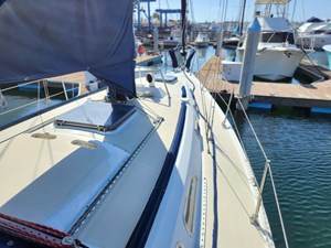 IZMADA 42 Deck Forward