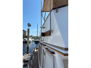 Compass Rose 14 14
