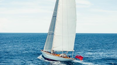 SAVANNAH 8 