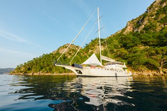 BELGIN SULTAN 6