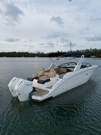 SEA RAY SDX 290