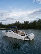 SEA RAY SDX 290 1