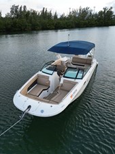 SEA RAY SDX 290 3