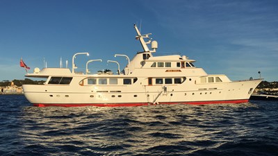 Seagull Of Cayman 9 