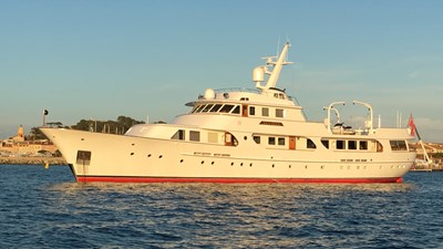 Seagull Of Cayman 11 