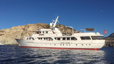 Seagull Of Cayman 10 