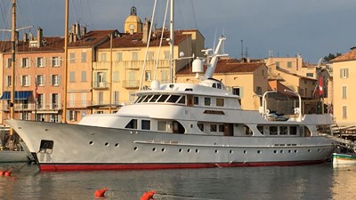 Seagull Of Cayman 0 