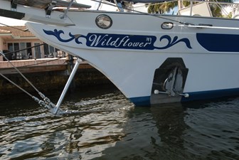 WILDFLOWER 8 