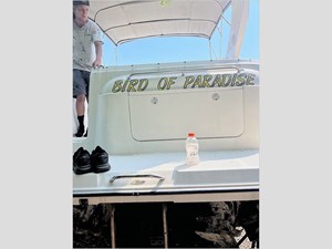 32' Bayliner 2004 305 Express 6 