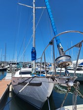 HARMONY @ SEA 45 Dockside