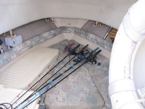 MISS MOLLY 19 V berth