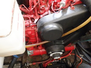 Y-Knot  61 