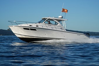 LADY ANN Name Reserved 19 