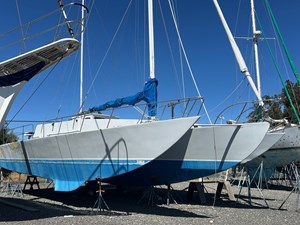 MS BLUE PEARL 0 
