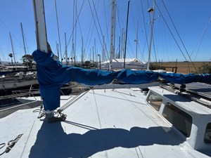 MS BLUE PEARL 31 MAIN