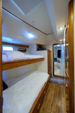 SEA BOLD  40 