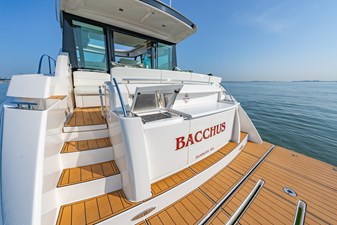 Swim Platform and Grill