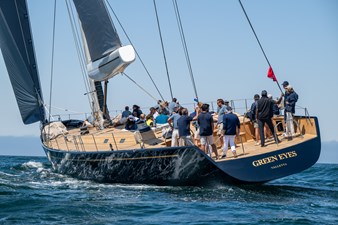 Green Eyes 25 250705_MFST_© Ricardo Pinto_7779