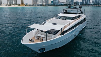 CHAMELEON 17 
