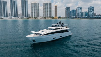 CHAMELEON 20 