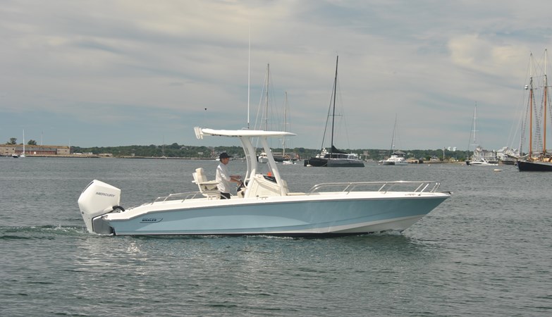 BOSTON WHALER 250