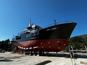 ANNE S PIERCE 54 
