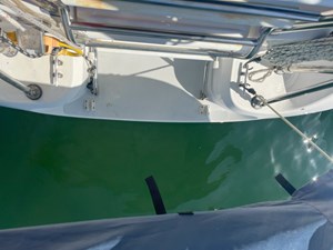 HAKUNA MATATA 33 Swimstep