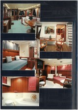 Rex Aquila 7