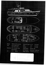 Rex Aquila 7