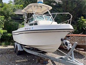 20' Grady White 1988 20WA 1 
