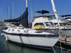 PATRIOT 0 31' Tartan PATRIOT