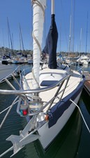 PATRIOT 37 Dockside Bow