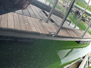 024 Yamaha 252SD NLNL 109 