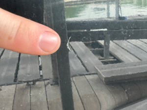 024 Yamaha 252SD NLNL 111 