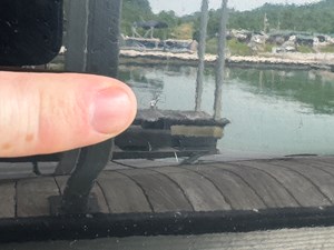 024 Yamaha 252SD NLNL 122 