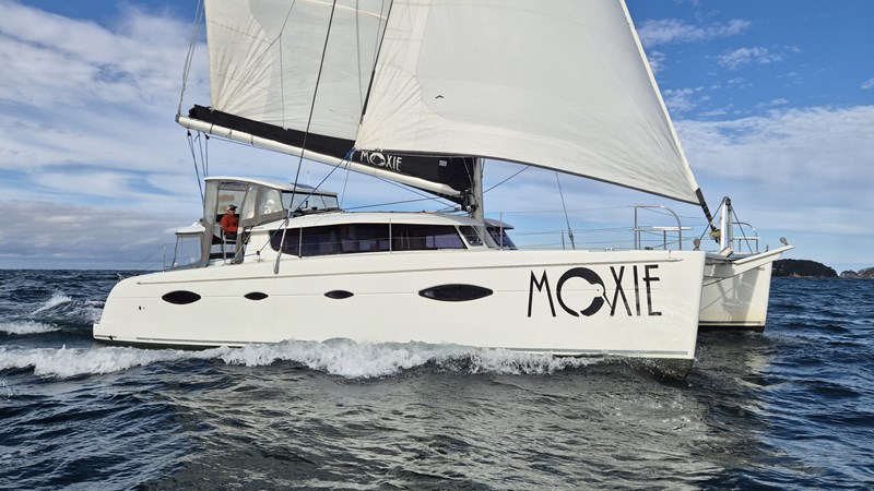 20250707_140559(0)_cropped+rotated