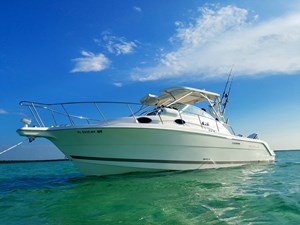 Wellcraft 290 Coastal 0 