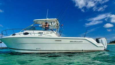Wellcraft 290 Coastal 5 