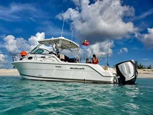 Wellcraft 290 Coastal 6 