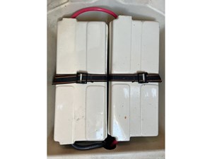 FOCUS 69 House Batteries