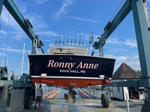 Ronny Anne 18 