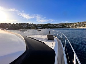 Prenses 52 ( 2015 ) 5 