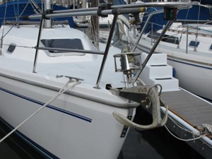 HARMONY 31 Anchor