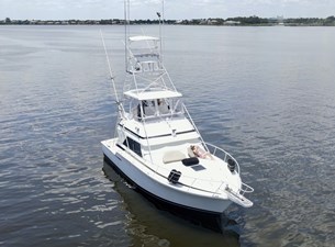 Islander 7 1 