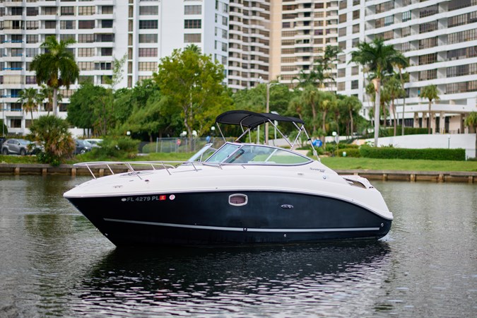 WELCOME TO THE JUNGLE