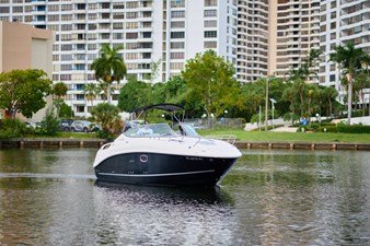 WELCOME TO THE JUNGLE 4 