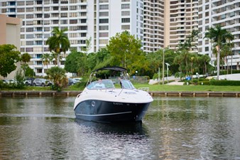 WELCOME TO THE JUNGLE 5 