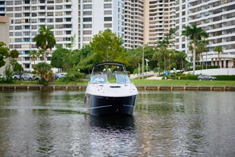 WELCOME TO THE JUNGLE 6 