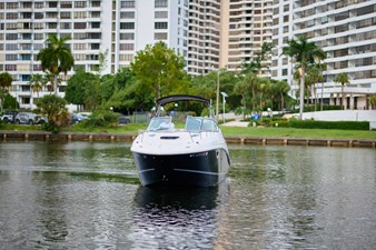 WELCOME TO THE JUNGLE 7 