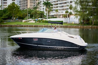 WELCOME TO THE JUNGLE 11 